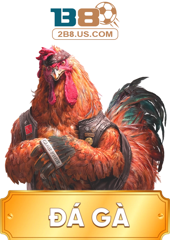 Đá gà 2b8.us.com