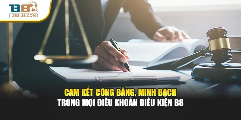 Cam kết công bằng, minh bạch trong mọi điều khoản điều kiện B8