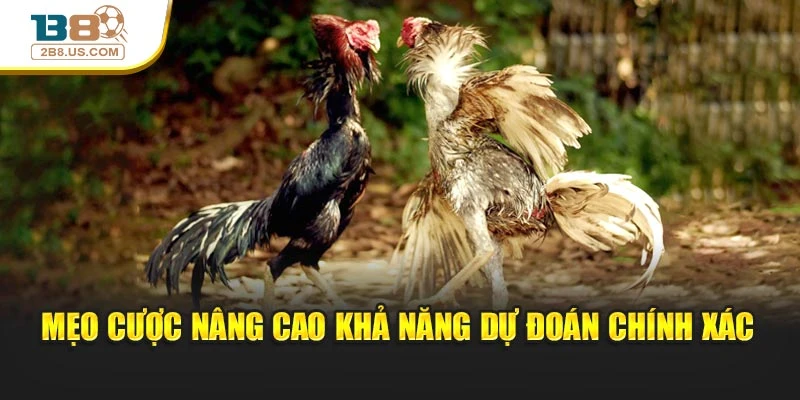 Mẹo cược nâng cao khả năng dự đoán chính xác