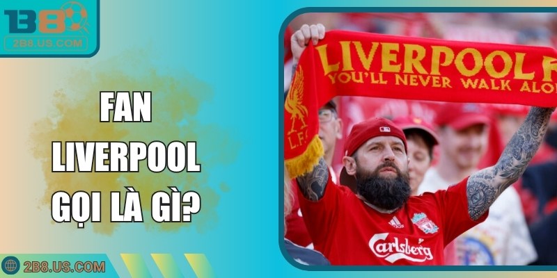 Fan Liverpool Gọi Là Gì? Khám Phá Lịch Sử Và Đặc Trưng