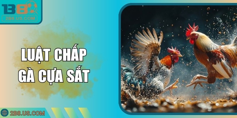 Luật Chấp Gà Cựa Sắt B8 – Hướng Dẫn Áp Dụng Chiến Thuật